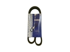 CORREIA POLY V Ford Mondeo 1.8 2.0 2.5 1996 até 2000 0049931796